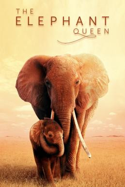 The Elephant Queen (2019) บรรยายไทย - ดูหนังออนไลน