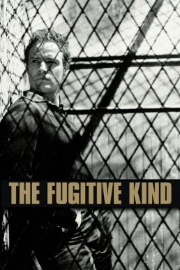 The Fugitive Kind (1960) บรรยายไทย - ดูหนังออนไลน